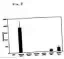 Fig. 09 - Compositions comprising immunostimulatory siRNA molecules and DLinDMA or DLenDMA