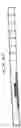 Fig. 12 - Compositions comprising immunostimulatory siRNA molecules and DLinDMA or DLenDMA