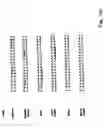 Fig. 35 - Compositions comprising immunostimulatory siRNA molecules and DLinDMA or DLenDMA