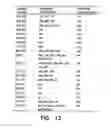 Fig. 09 - Adenovirus vectors encoding brain natriuretic peptide
