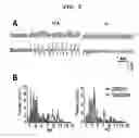 Fig. 09 - Method of resistance of epilepsy by suppressing the function of alpha 1g protein