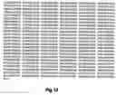 Fig. 02 - Motoneuronotrophic factor