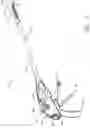 Fig. 02 - Surgical instrument incorporating an electrically actuated articulation mechanism