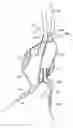 Fig. 01 - Methods and systems for endovascular aneurysm treatment