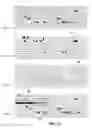 Fig. 08 - Storage system and method for reorganizing data to improve prefetch effectiveness and reduce seek distance