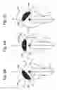 Fig. 06 - Body hair treating implement