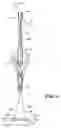 Fig. 07 - Bimini twist jig
