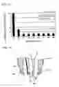 Fig. 09 - Spark plug with multiple ground electrodes