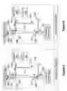 Fig. 07 - Light beam apparatus and method for orthogonal alignment of specimen