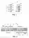 Fig. 02 - Patch codes for color calibration job identification encoding