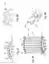 Fig. 06 - Object storage devices, systems, and related methods