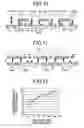 Fig. 09 - Semiconductor memory device layout comprising high impurity well tap areas for supplying well voltages to N wells and P wells