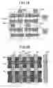 Fig. 13 - Semiconductor memory device layout comprising high impurity well tap areas for supplying well voltages to N wells and P wells