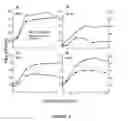 Fig. 07 - Replication-competent anti-cancer vectors