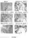 Fig. 08 - Replication-competent anti-cancer vectors