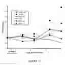 Fig. 19 - Replication-competent anti-cancer vectors