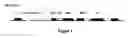 Fig. 02 - Novel recombinant T4 phage particle and uses thereof