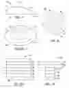 Fig. 04 - Biological patch for use in medical procedures