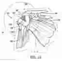 Fig. 06 - Biological patch for use in medical procedures