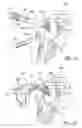 Fig. 07 - Biological patch for use in medical procedures