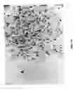 Fig. 08 - Treatment of wounds and compositions employed