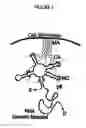 Fig. 02 - Branched and multi-chain nucleic acid switches for sensing and screening