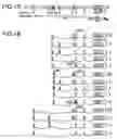 Fig. 02 - Isoforms of the human vitamin D receptor