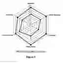 Fig. 06 - Exterior paint formulation