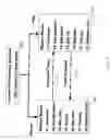 Fig. 08 - Secure remote access for an implantable medical device