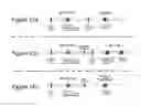 Fig. 17 - Dynamic publishing in a service oriented architecture