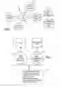 Fig. 02 - Instant messaging and presence using virtual devices