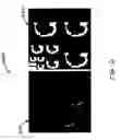 Fig. 07 - Prioritized image visualization from scalable compressed data