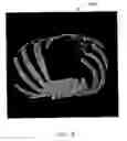 Fig. 09 - Prioritized image visualization from scalable compressed data