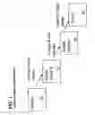 Fig. 02 - Method for enabling associated portlets of a web portlet to collaborate for synchronized content display