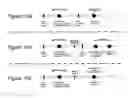 Fig. 17 - Batch updating for a service oriented architecture