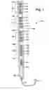 Fig. 02 - Vertical-mount electrical power distribution plugstrip