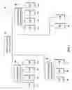 Fig. 02 - Method and device for implementing a downloadable software delivery system