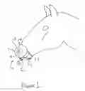 Fig. 02 - Method and apparatus for filtering air entering an animal's nostrils