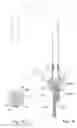 Fig. 09 - Electrolytic-water supplying faucet