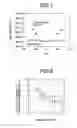 Fig. 06 - DVD recording method and rewritable DVD apparatus
