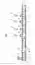 Fig. 02 - Kneading apparatus and method for kneading rubber-based composition using the same