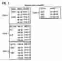 Fig. 05 - Multicast in point-to-point packet-switched oriented networks