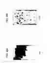 Fig. 09 - Image processing method and apparatus of same