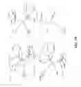 Fig. 116 - Human virus causing respiratory tract infection and uses thereof