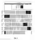 Fig. 118 - Human virus causing respiratory tract infection and uses thereof