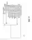 Fig. 202 - Human virus causing respiratory tract infection and uses thereof