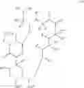 Fig. 02 - Composition for topical administration