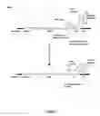 Fig. 02 - In vitro peptide expression library