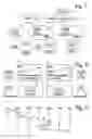 Fig. 02 - Routing of media communication service