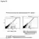 Fig. 20 - Methods for tailoring the immune response to an antigen or immunogen